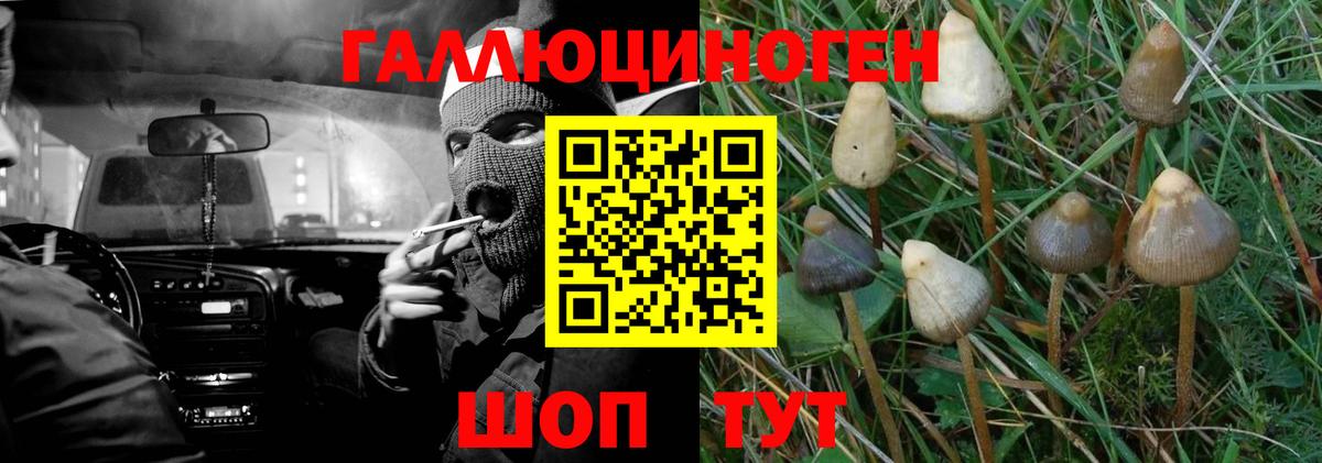 Галлюциногенные грибы мицелий  Галлюциногенные грибы Psilocybine cubensis  Вход с VPN  Казань 